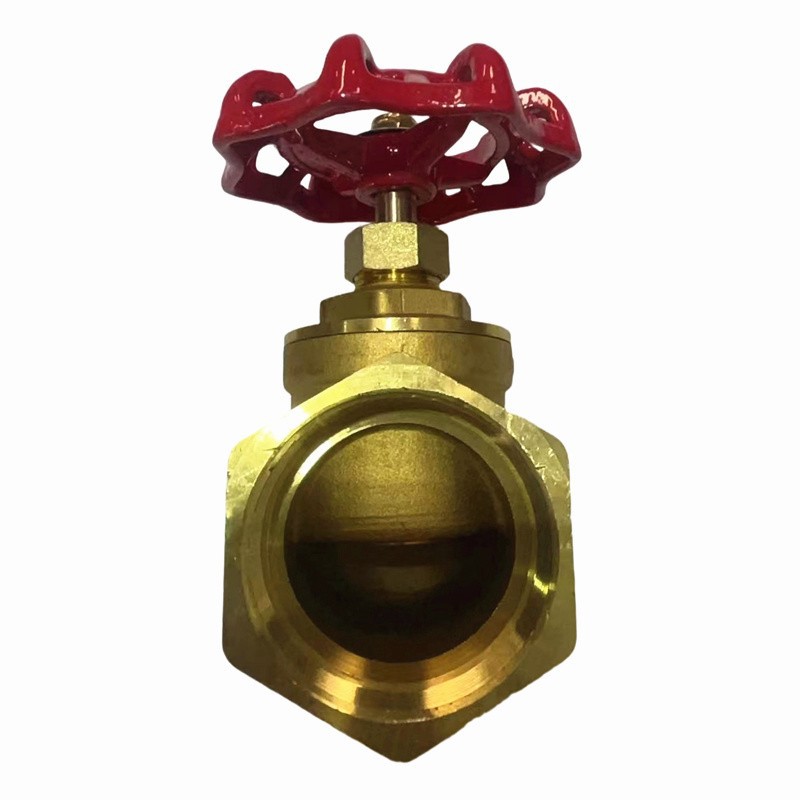 DN25 brass globe valve