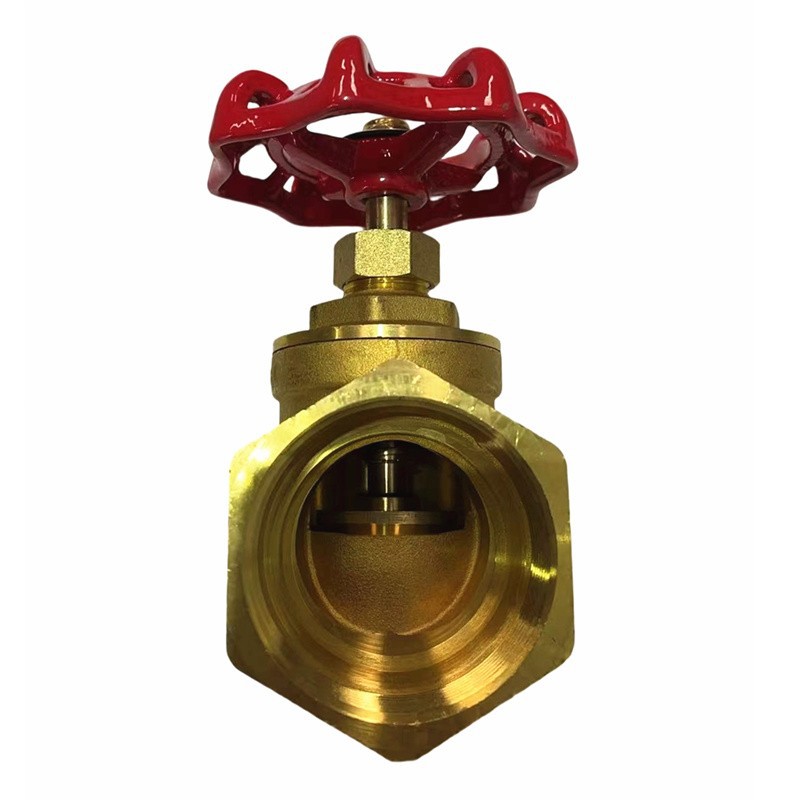 DN50 brass globe valve