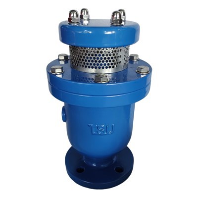 Válvula de liberación de aire compuesta