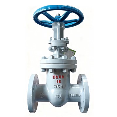 Válvula de compuerta con brida de vástago ascendente